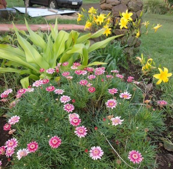 חדר סטנדרט, Cabañas Vaiora