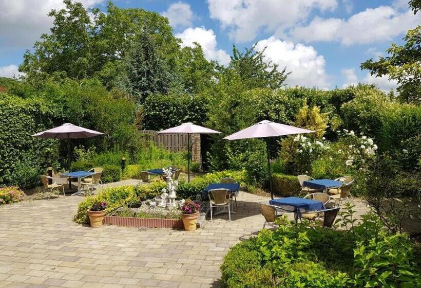 חדר סטנדרט יחיד, Le Provencal