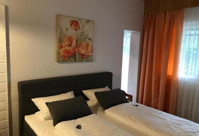 テラス付きスタンダードワンルーム, Schachten