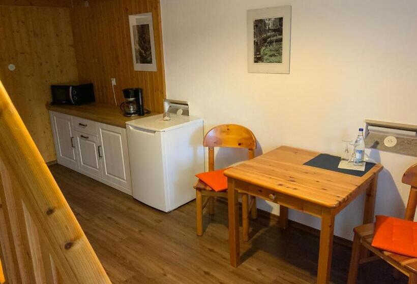 テラス付きスタンダードワンルーム, Schachten