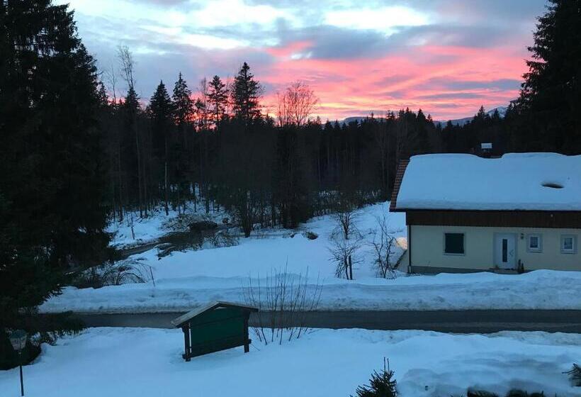 テラス付きスタンダードワンルーム, Schachten