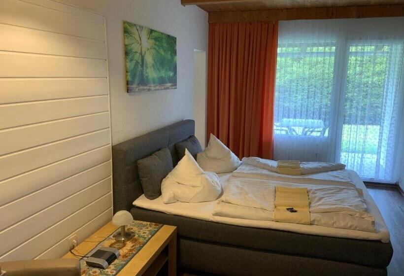 סטודיו סטנדרט עם מרפסת, Schachten