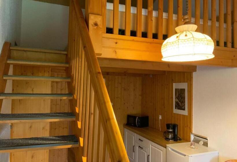 テラス付きスタンダードワンルーム, Schachten