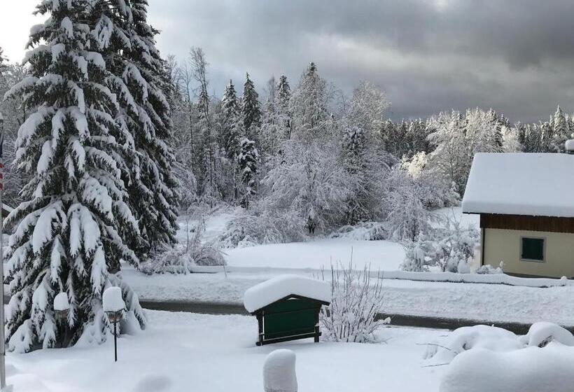 テラス付きスタンダードワンルーム, Schachten