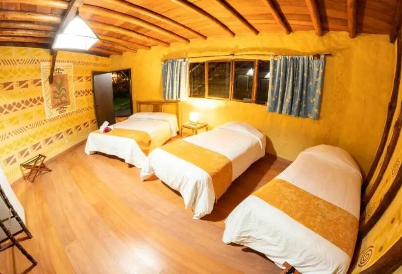 スタンダード４人部屋, San Agustin Internacional