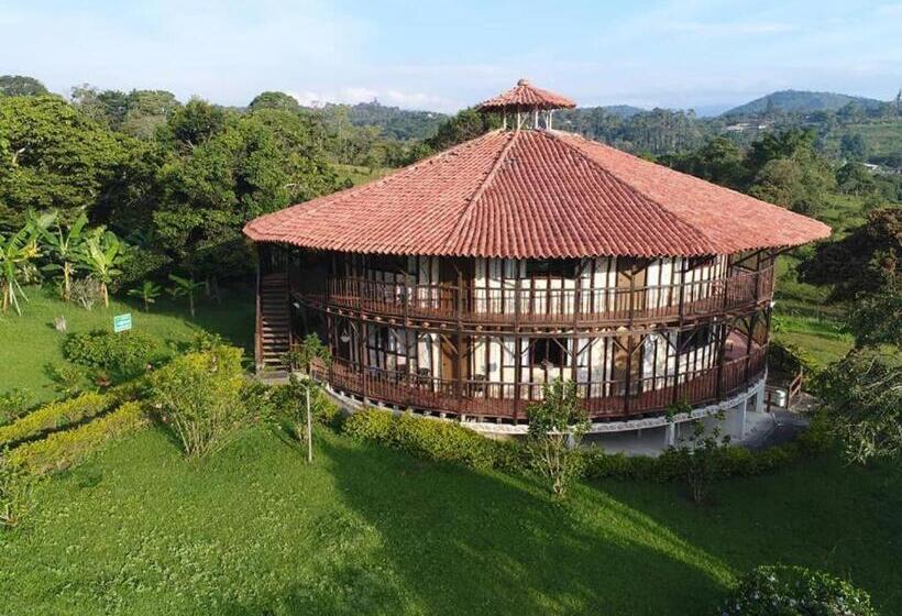 Четырехместный Номер Стандарт, San Agustin Internacional