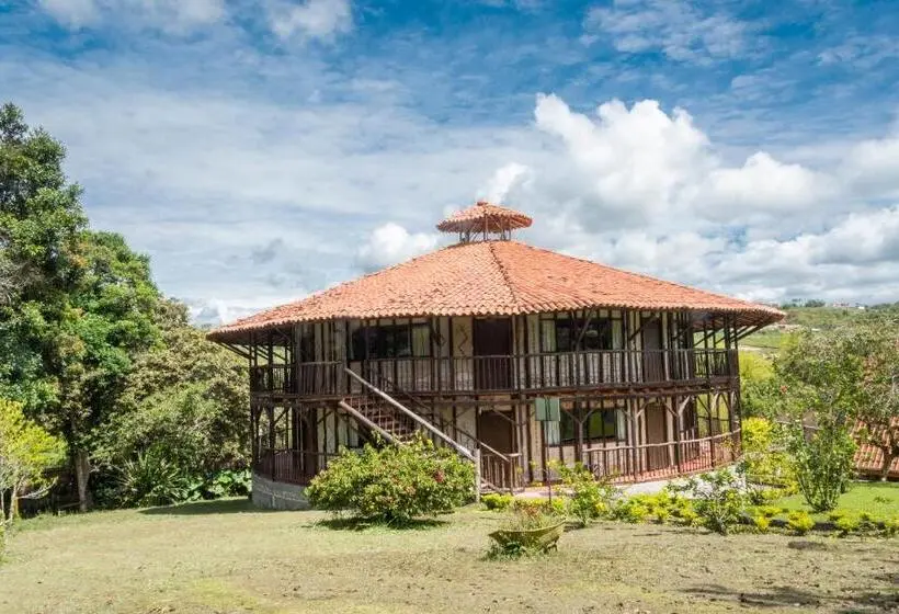 スタンダードシングルルーム, San Agustin Internacional