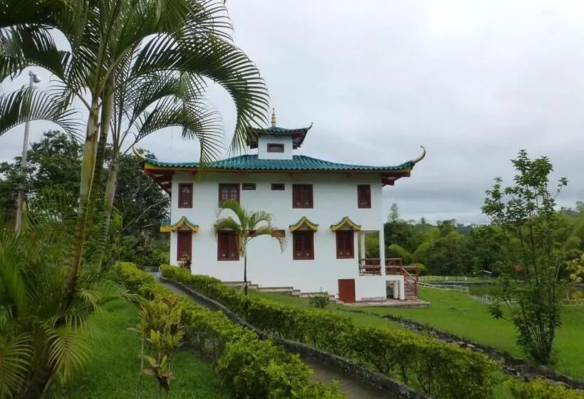 シングルデラックスルーム, San Agustin Internacional