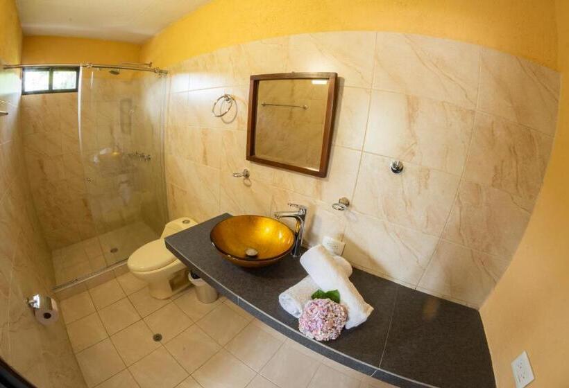 חדר דלוקס, San Agustin Internacional