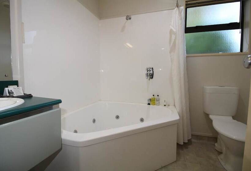 آپارتمان 1 خوابه, South Park Motel