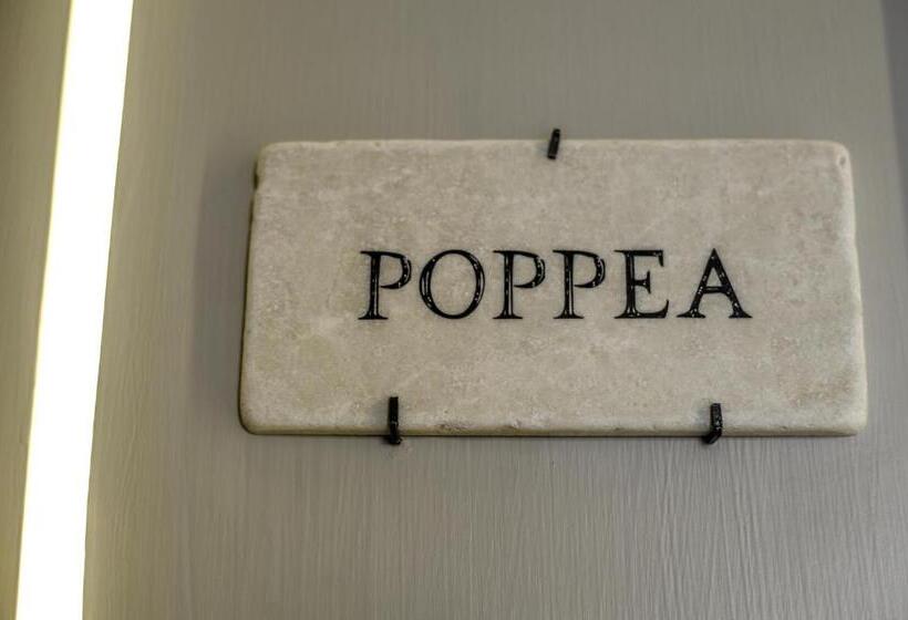 חדר סופריור, The Roman Empire Guesthouse