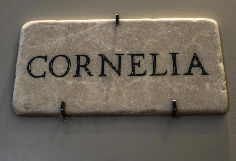 חדר סטנדרט, The Roman Empire Guesthouse