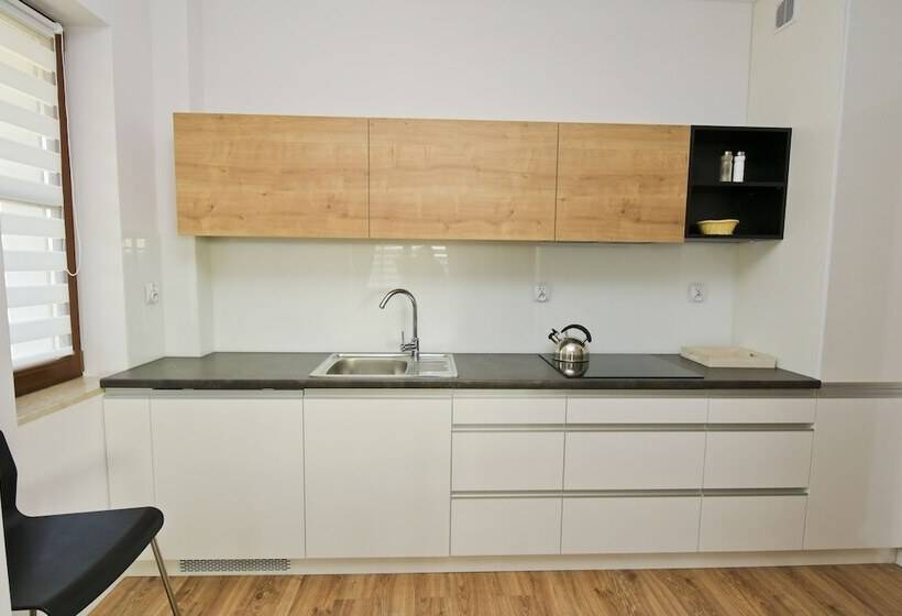 آپارتمان 1 خوابه با بالکن, Poduszka Apartamenty Zdrojowe