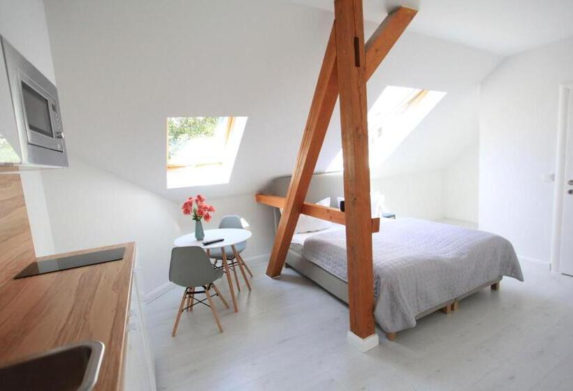 استودیوی استاندارد, Zollikof Aparts   Sauna & Studioapartments