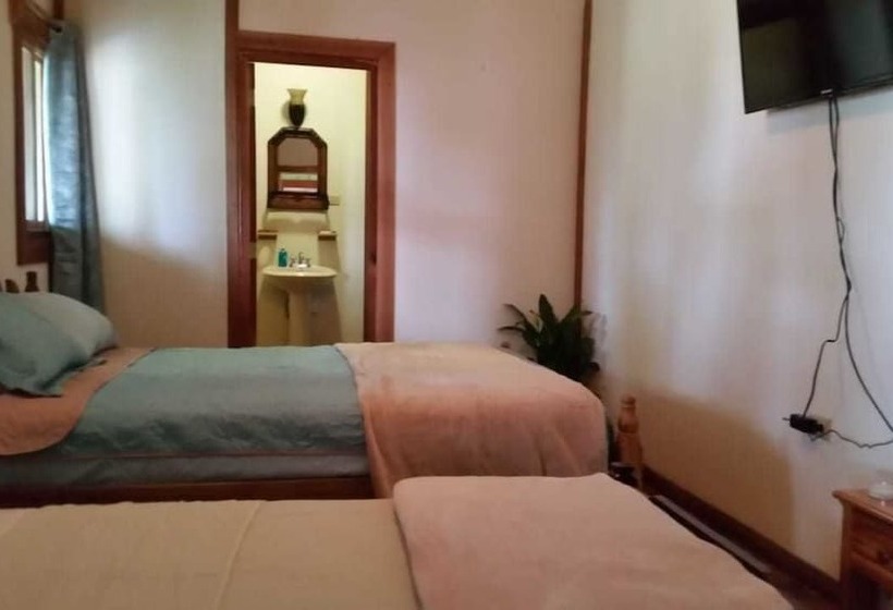 スタンダードトリプルルーム, Alta Vista