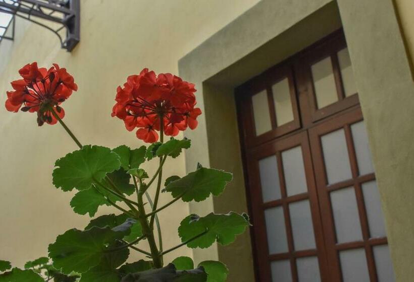 غرفة قياسية, Aroma 406