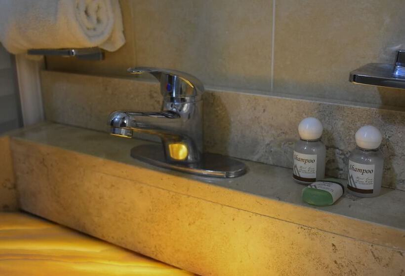 غرفة قياسية, Aroma 406