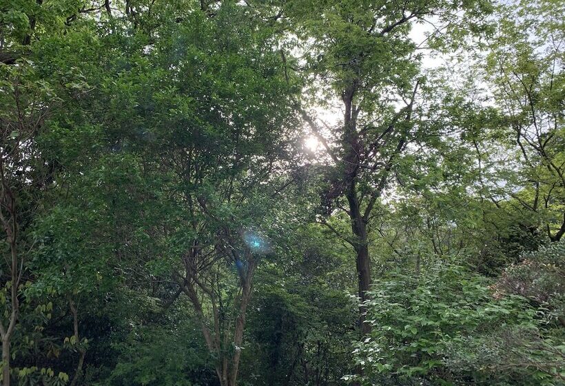 اتاق استاندارد سه نفره, Forest Villa Olive