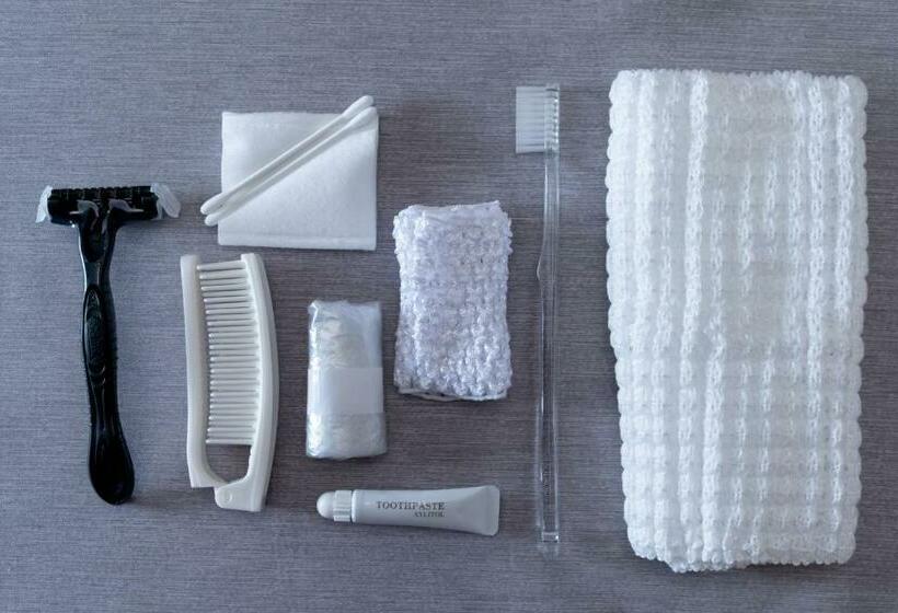 اتاق استاندارد, Kado Goshominami Kyoto