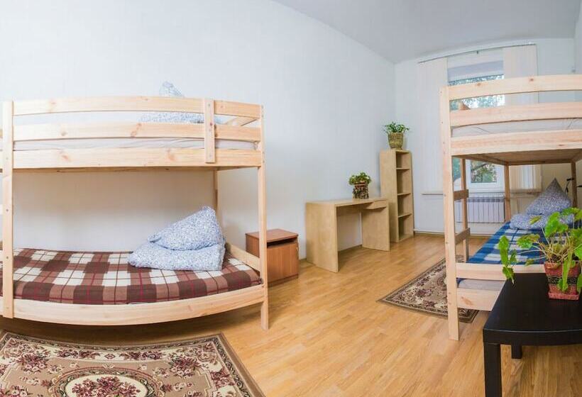 מיטה בחדר משותף, Hunter Hostel