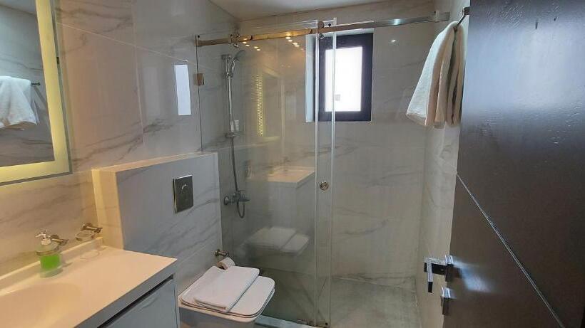 سوییت جونیور لوکس, Palm Ville Suites