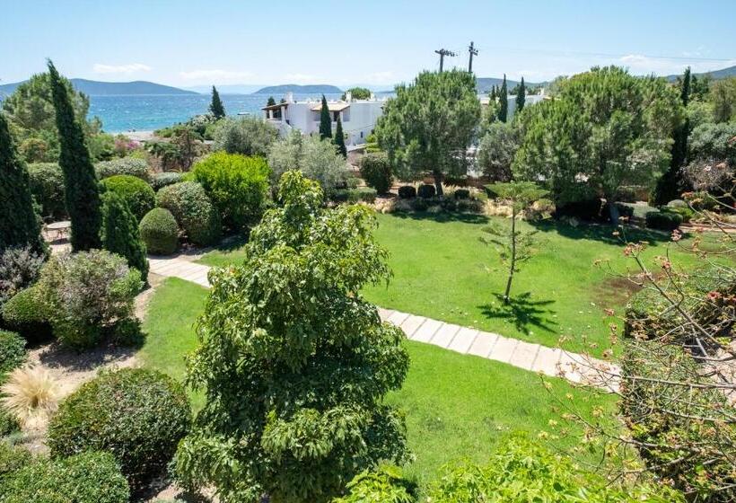 غرفة ديلوكس مطلّة علي الحديقة, 180 South Seaside