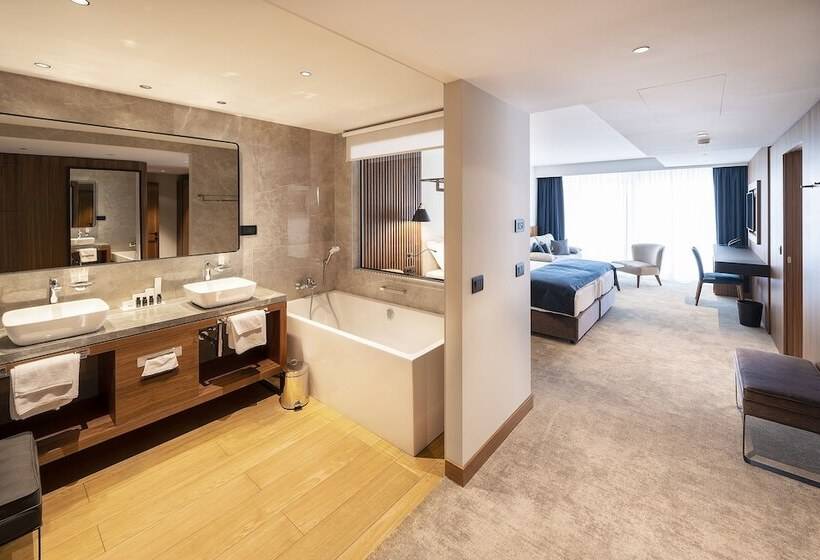 سوییت جونیور با چشمانداز دریا, Luxury Hotel Riva