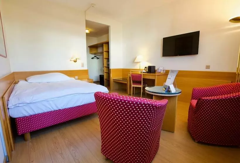 اتاق استاندارد یک نفره, Hôtel Du Rhône