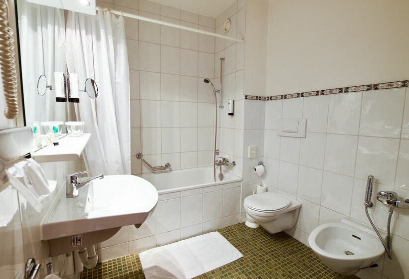 Номер Стандарт Трехместный, Hôtel Du Rhône