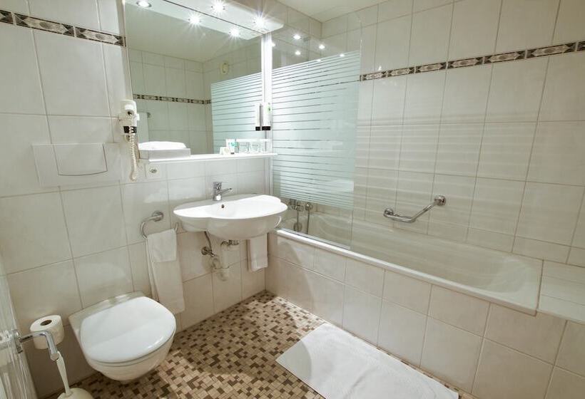 Номер Стандарт, Hôtel Du Rhône