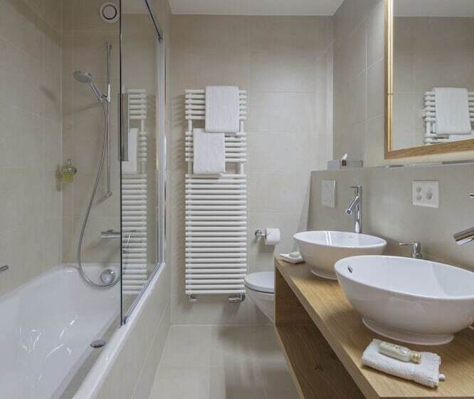 基本间, Swiss Alpine Hotel Allalin