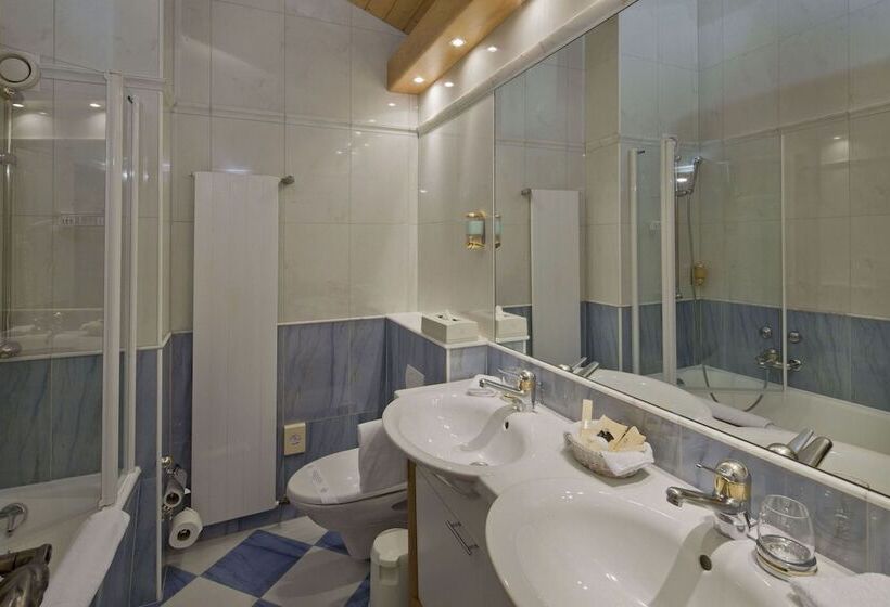 基本间, Swiss Alpine Hotel Allalin