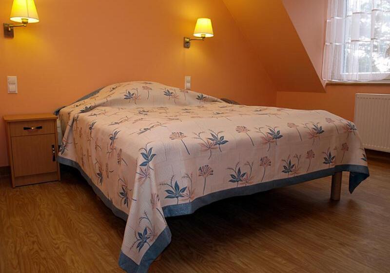 اتاق استاندارد با تخت بزرگ, Zdrowotel łeba