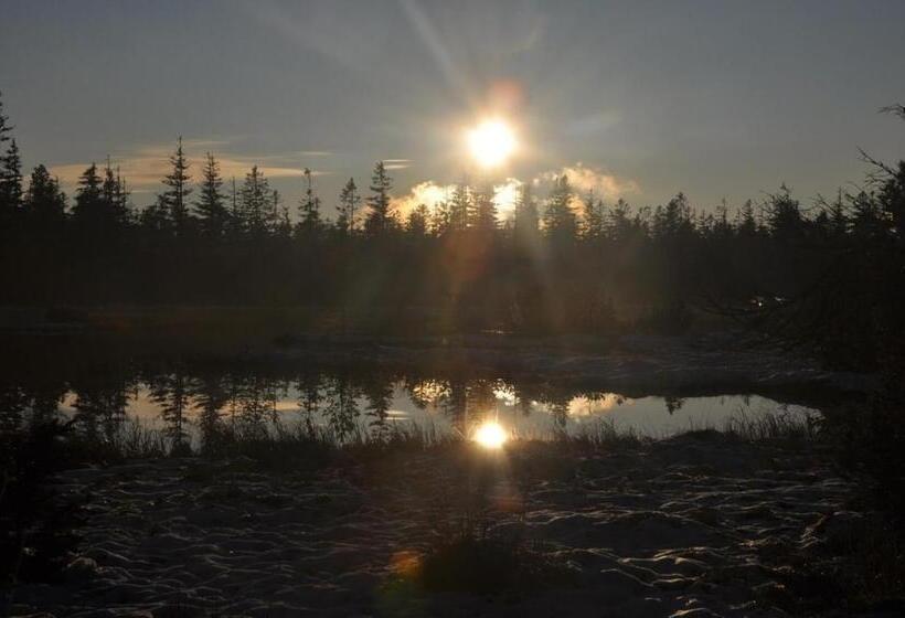 Rahat Tek Kişilik Oda, Gasthof Pension Berghof