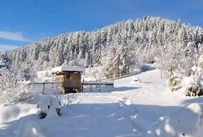 コンフォートシングルルーム, Gasthof Pension Berghof