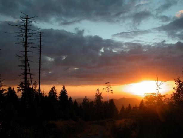 Standart Oda, Gasthof Pension Berghof