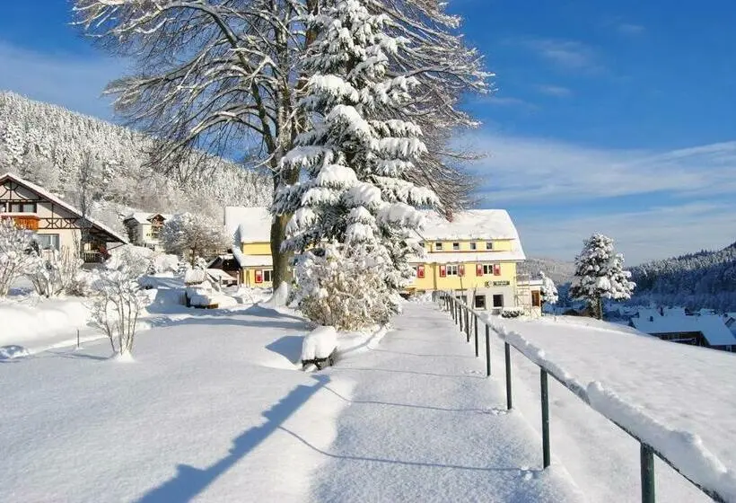 コンフォートシングルルーム, Gasthof Pension Berghof