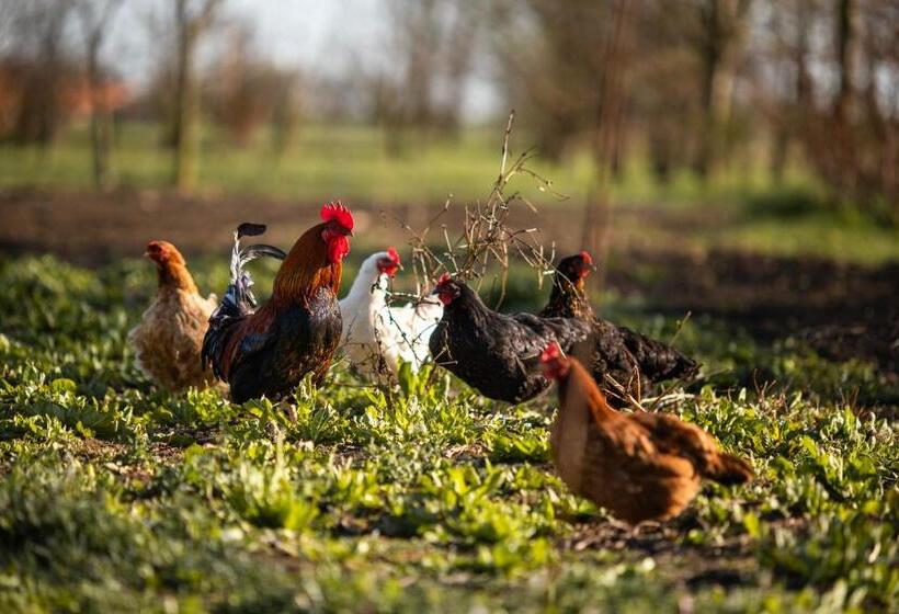 דירת חדר נוף לגינה, Agriturismo Casa Fiorindo