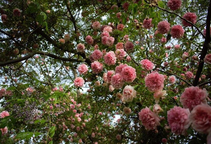 דירת חדר בקומת קרקע, Agriturismo Casa Fiorindo