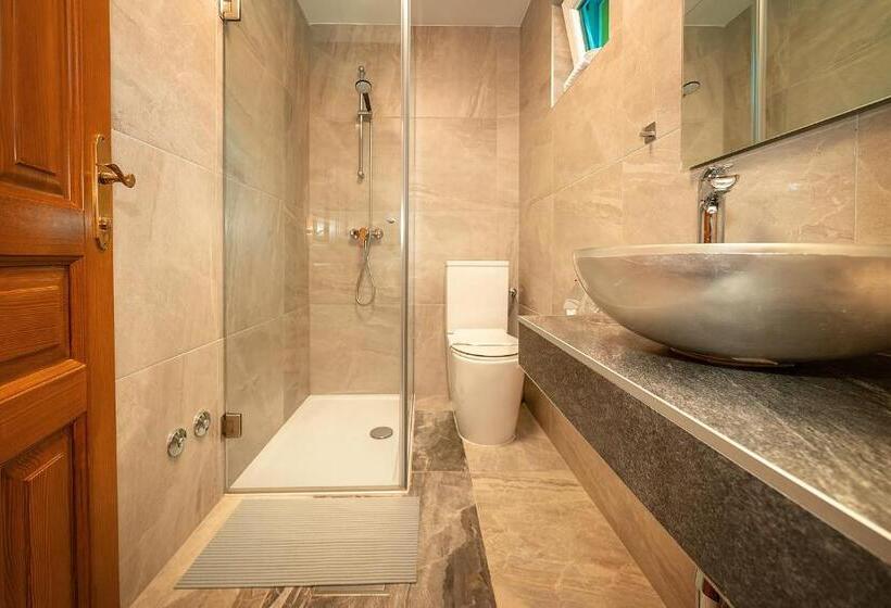 חדר דלוקס, Bed & Breakfast Villa Terezija