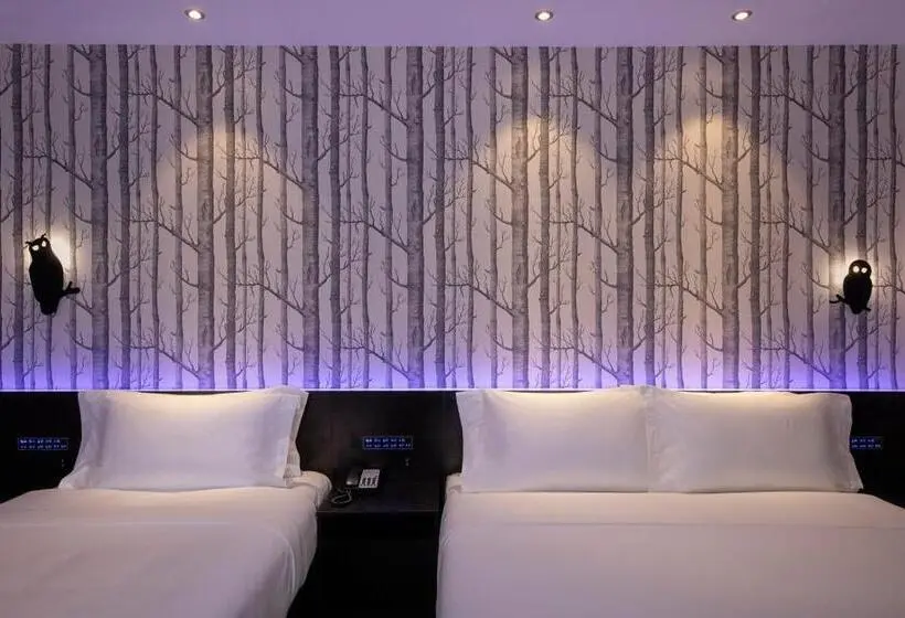 اتاق لوکس خانوادگی, Orange Hotel Select