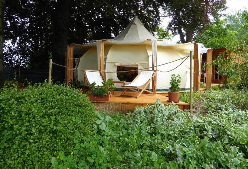 Standard Tent, Oasi Degli Dei