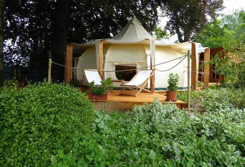 Standard Tent, Oasi Degli Dei