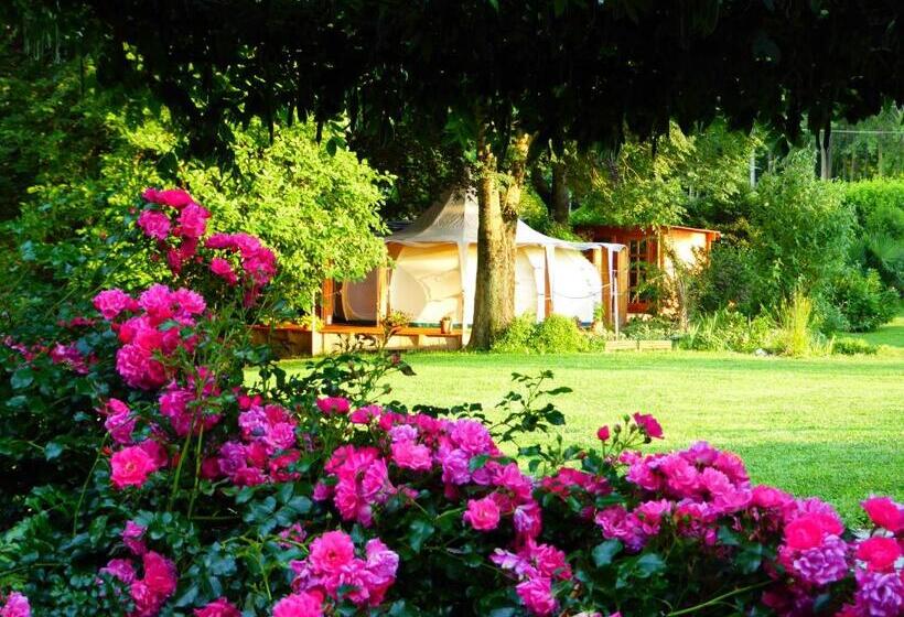 Standard Tent, Oasi Degli Dei