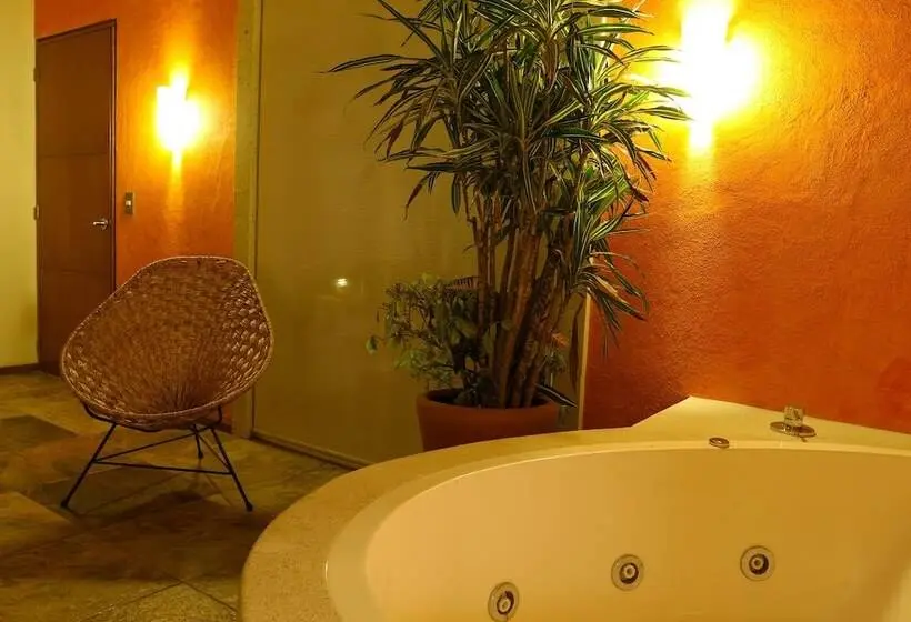اتاق استاندارد با چشم‌انداز استخر, Nequi Hotel Boutique
