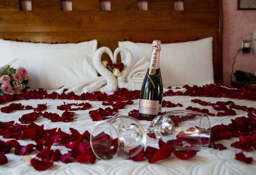 プールビュースタンダードルーム, Nequi Hotel Boutique