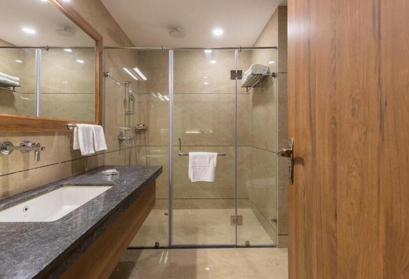 اتاق استاندارد, Highway King Bagru