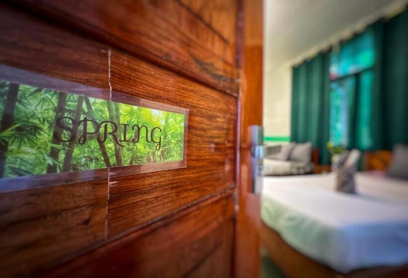 اتاق لوکس, White Summerville Tourist Inn