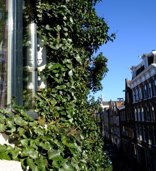 غرفة قياسية, B&b Eelhouse