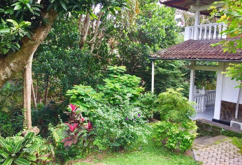 Номер Стандарт, B&b Home Stay Griya Jungutan